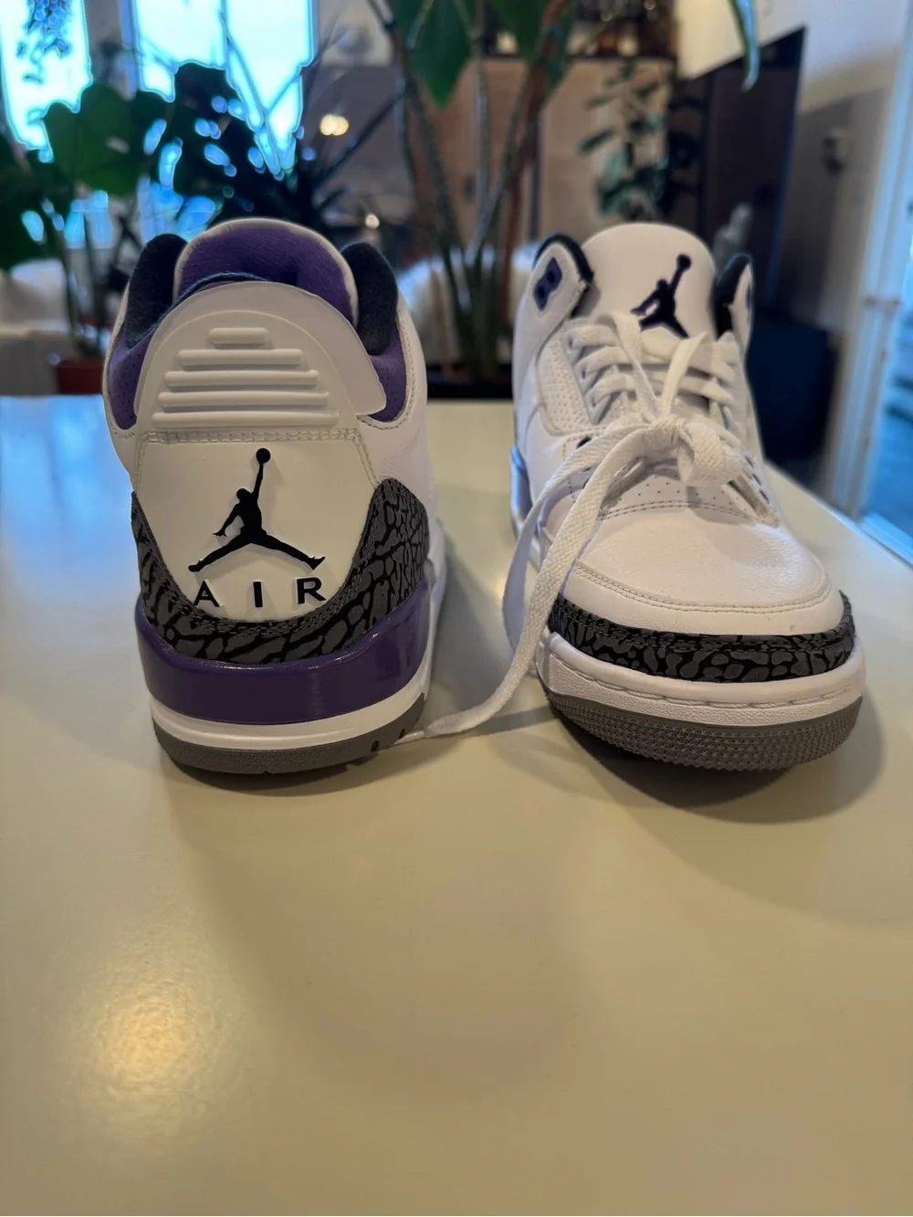 Nike Air Jordan 3 Retro